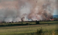 Ысык-Көлдүн жээги өрттөнүүдө