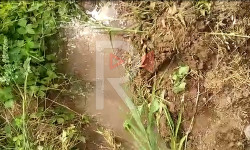 Кемин: сугат суу тартыш 