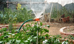 Таза сууну үнөмдүү пайдаланбаган жарандарга айып пул салынат