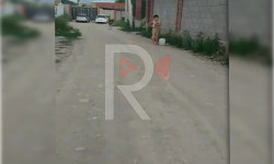 Адилет конушунун тургундары 13 жылдан бери таза суусуз жашап келишет