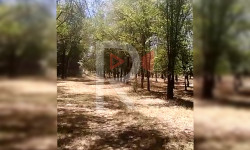 Токмок: кароосуз калган эс алуучу жай