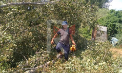 Эс алуучу жайдагы бакты кыйган ким?