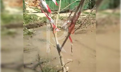 Кара-Балта: жарылган суу түтүгү 3 жылдан бери оңдолбой турат