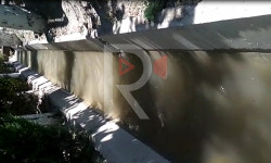 Араван: жол жээгиндеги бак-дарактарга суу жетпей жатат