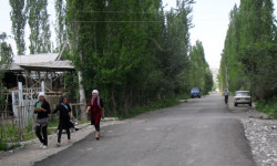 Коңшусунун айынан тынч жашоосу бузулган Чүй районунун тургуну