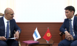 ЕККУ өкүлү Кыргызстандагы сөз эркиндигин жогору баалады