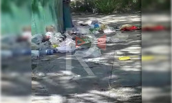 "КазГУ" пансионатынын тегереги таштандыга толгон