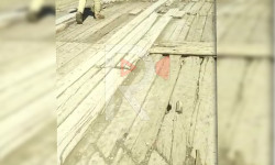 Жыгачтары чирип, эскилиги жеткен көпүрө