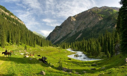 Каракол КМШдагы мыкты тоо курорттордун ондугуна кирди