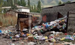 Таш-Дөбө айылындагы үйүлгөн таштанды качан чыгарылат? 