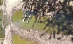 Бишкектеги №8-бейтапканадан чыккан суу короолорду сазга айландырды 