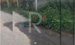 Канализациянын суусу көчөнү каптап жатат