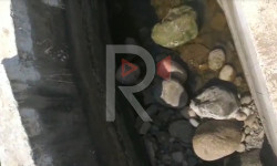 Арыкка суу келбей, эгиндер куурап жатат