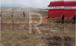 Терек-Суу айылында 1,5 гектар жайыт күйүп кетти