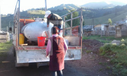 Жыргалаң: сүттүн баасы көтөрүлбөй жатканына тургундар нааразы 