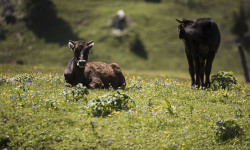 Баткен районунда тажрыйба алмашуу семинары өткөрүлдү