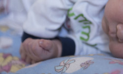 Алименттен качкандардын маалыматтык базасы түзүлөт