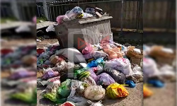 Арча-Бешиктин таштанды төгүүчү урналары качан тазаланат?