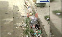 Шамалды-Сай шаарчасы таштандыга көмүлүүдө