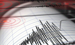 Нарын облусунда очогунда күчү 3 баллга жеткен жер титирөө катталды 