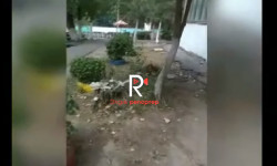 Бишкек: бала бакчада тазалык сакталган эмес