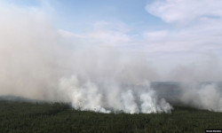 Последствия лесных пожаров в Сибири