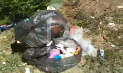 Каракол шаарынын борбордук көчөсүндө чачылып жаткан таштандылар