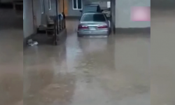 Ысык-Көлдө сел жүрдү