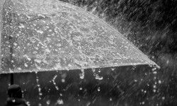 Алдыдагы бир жумалыкта өлкөдө туруксуз аба ырайы болот