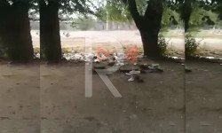 Интернационал айылында таштандылар тазаланбайт