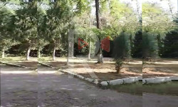 Кербен шаары каралбай калды