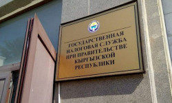 Салык кызматы электрондук салык төлөөчүлөрдү активдүү болууга чакырат