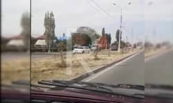 Ак-Өргө конушундагы куурап калган карагайлар