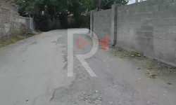 Тамтыгы чыккан жол