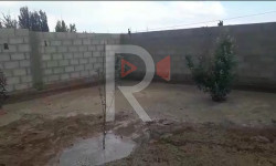 Тамчы: дамбанын суусу корообузду каптап жатат