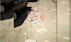 Исфана: базардын тегерегиндеги чачылган таштандылар