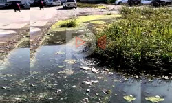 Өзгөн: канализациянын суусу көчөнү каптап жатат