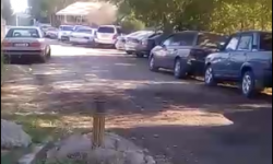 Пакровка айылындагы чаңдаган көчө жашоочуларды түйшөлттү    