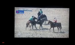 Алайдын Курманжан датка айылында санариптик берүүнүн сапаты начар  