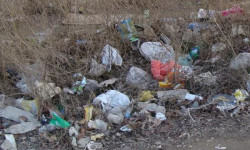 Беловодск айылындагы таштанды таштоочу жайга айланган көчө 