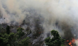 Ала-Арча паркындагы өрт өчүрүлдү