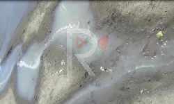 Жети-Өгүз: заводдон чыккан суу көчөнү каптап жатат