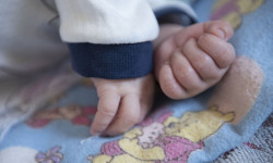 Бала сатууга аракет кылгандар эркинен ажыратылды 