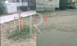 Бүтпөй калган жол, каралбай калган аллея