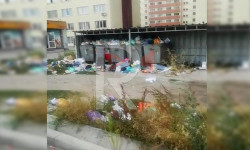 Көк-Жарда бир жумадан бери таштандылар тазалана элек