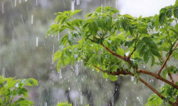 Бүгүнкү күнгө карай өлкө аймагында күтүлгөн аба-ырайы 