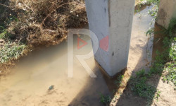 Селекция айылында электр түркүгү кулаганы турат