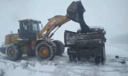 Суусамыр өрөөнүнө кар жаады