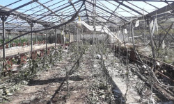 Караколдогу катуу шамалдан ишкер 20 млн. сомго чыгым болду