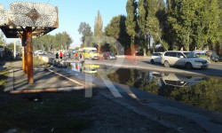 Ново-Павловка: аялдамалардын кейиштүү абалы